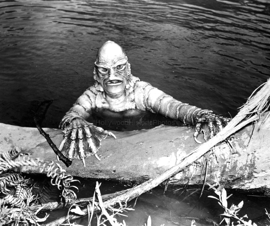 The Creature from the Black Lagoon 1954 water creature wm.jpg